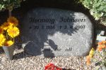 Henning Johnsen.JPG